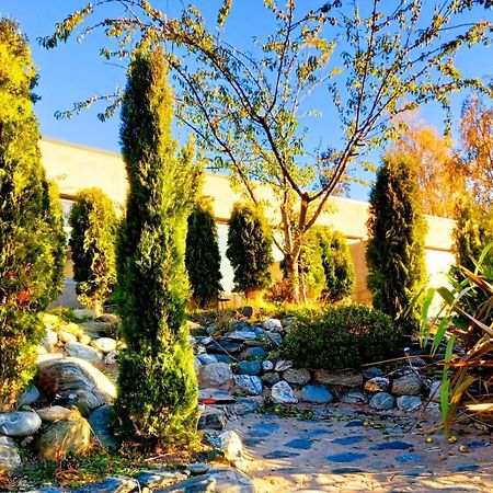 The Hidden Spring Hotel Уанака Екстериор снимка